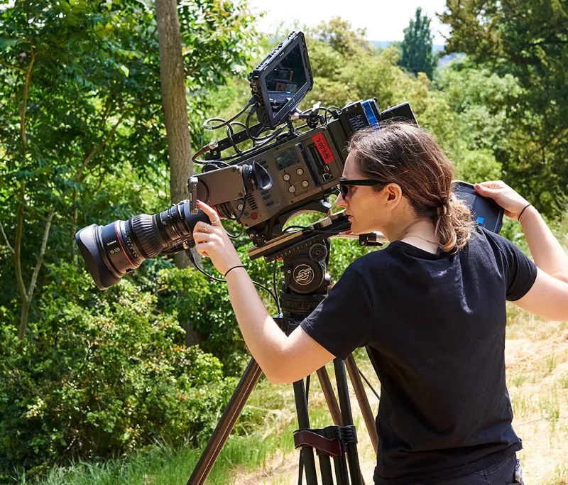 Vivid Broadcast Cinematic Multi-camera Dinosaur Hour